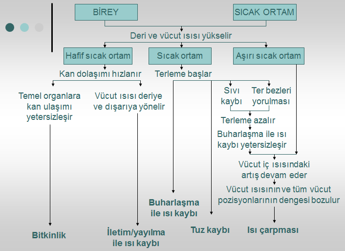 TERMAL KONFOR NEDİR?